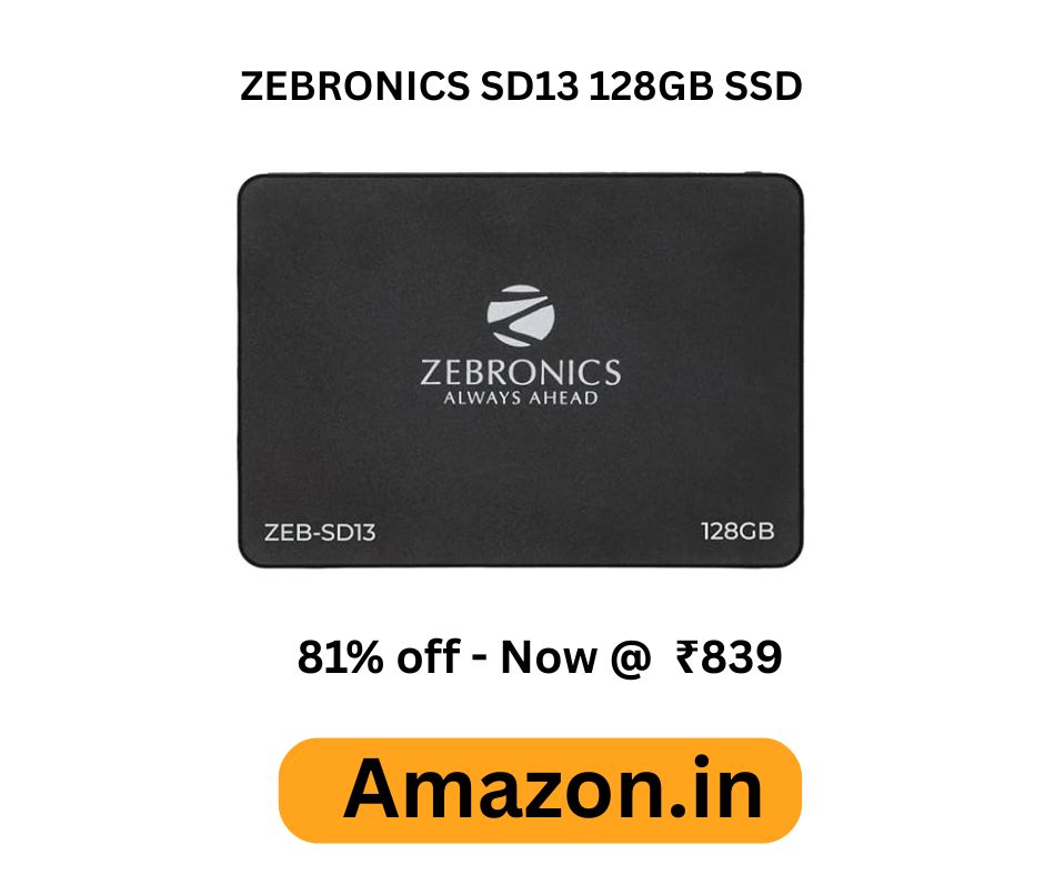 ZEBRONICS SD13 128GB SSD